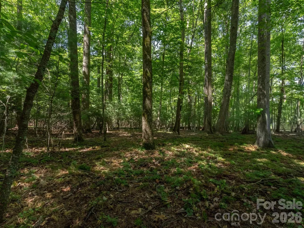 0 Hebron Road Hendersonville, NC 28792