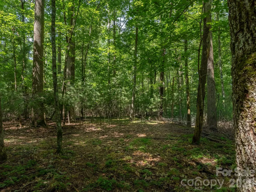 0 Hebron Road Hendersonville, NC 28792