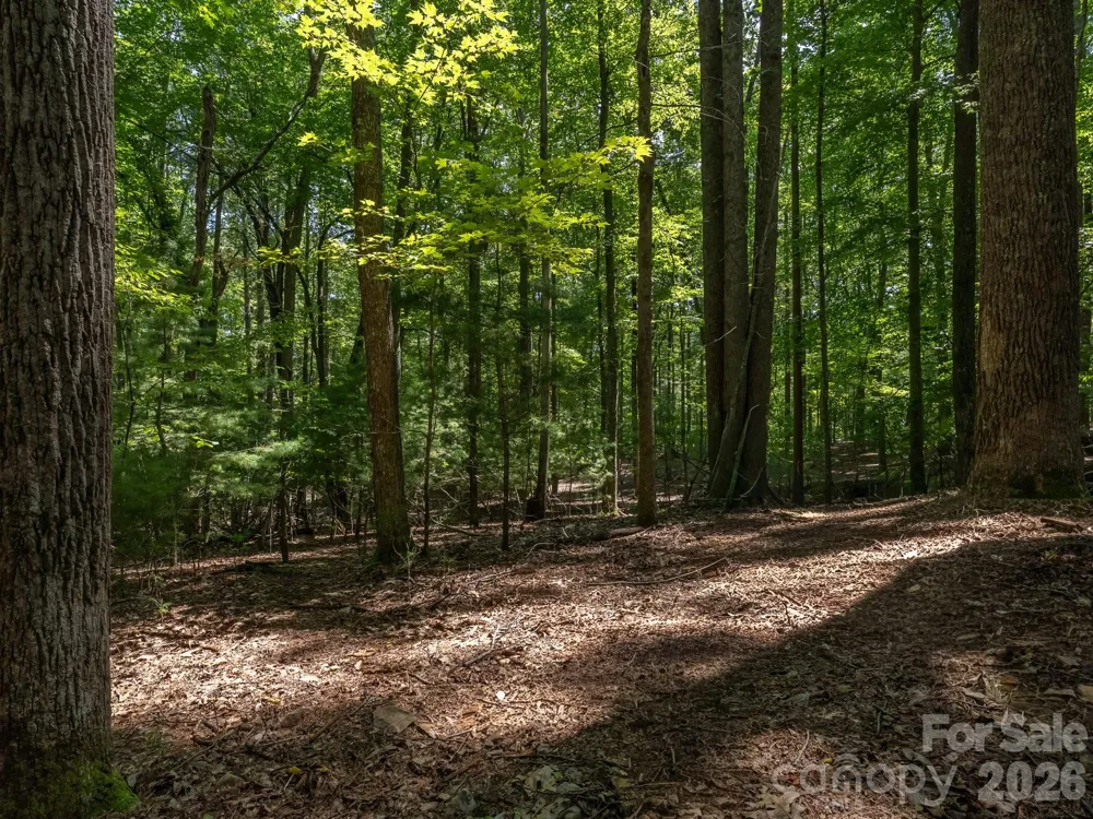 0 Hebron Road Hendersonville, NC 28792