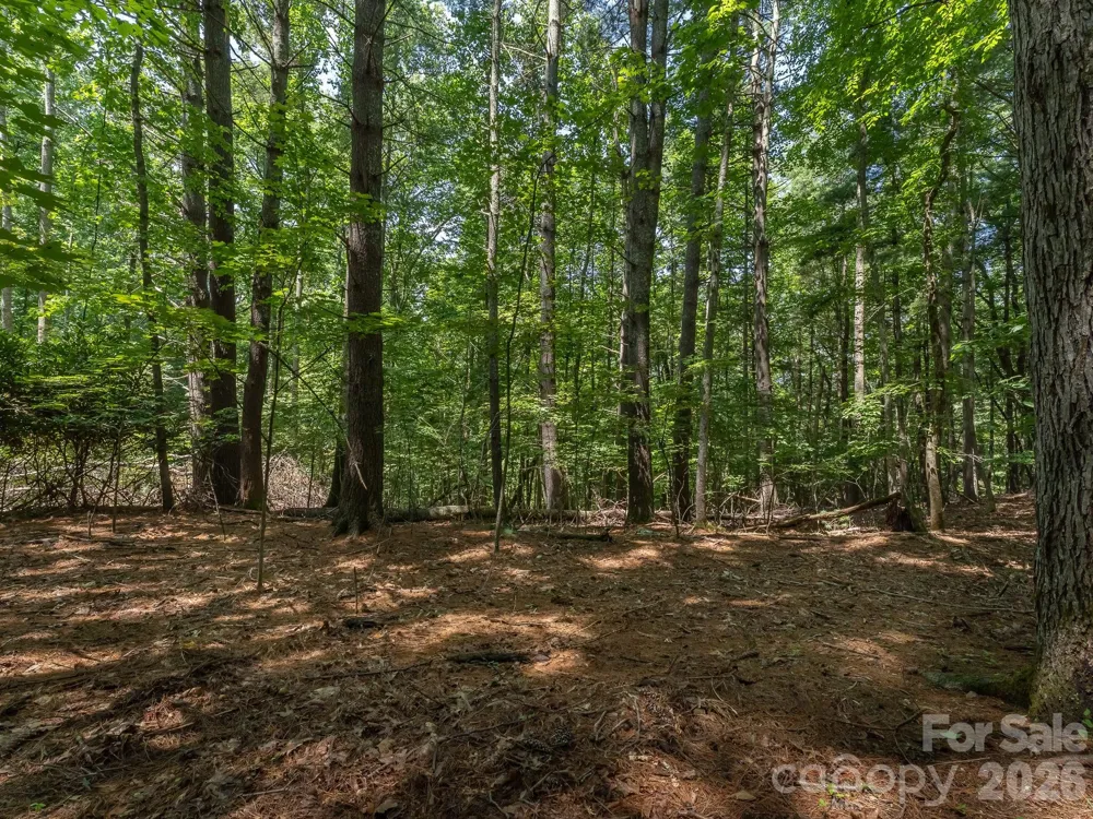 0 Hebron Road Hendersonville, NC 28792