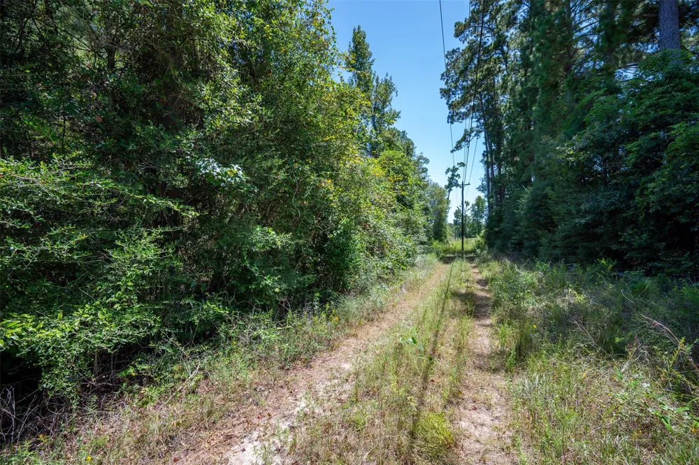 Farm To Market 92 S Fred, TX 77616
