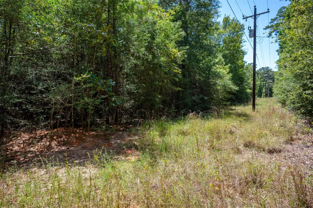 Farm To Market 92 S Fred, TX 77616