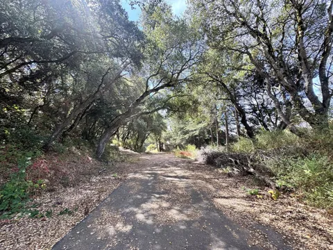 6675 Petersen Road