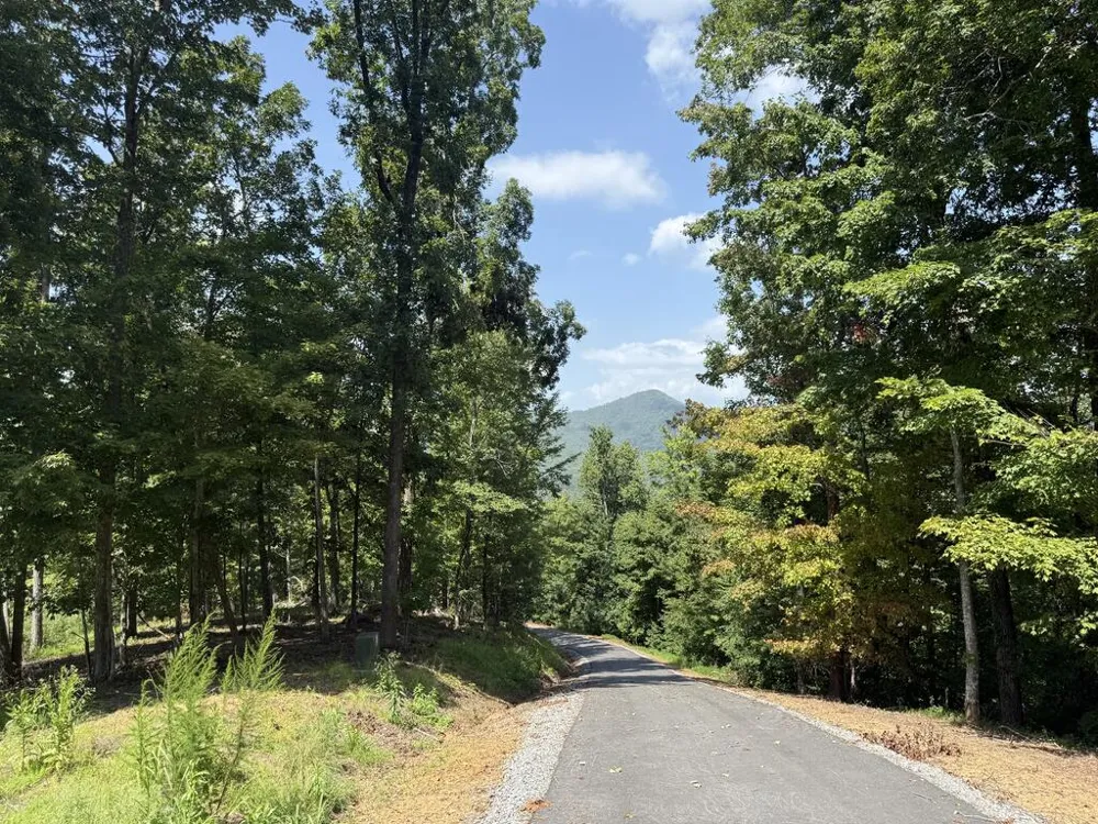 Lot 18 Grand Laurel Brasstown, NC 28902