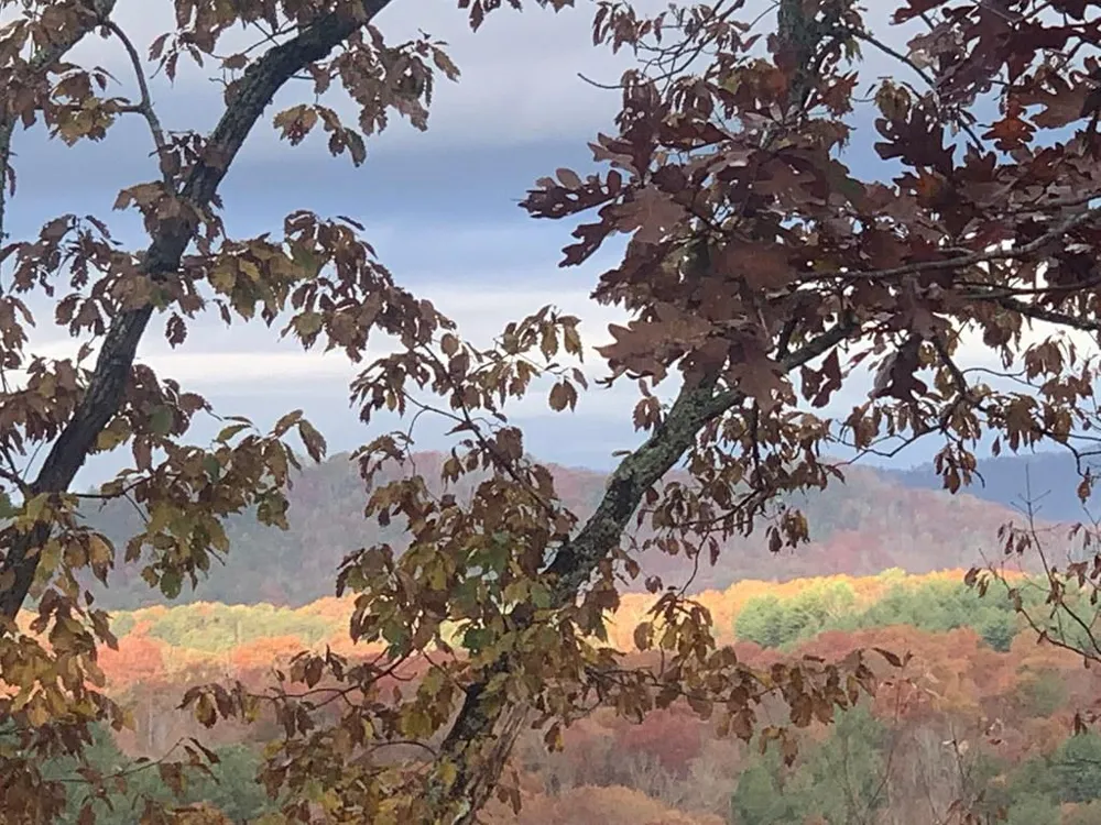 Lot 18 Grand Laurel Brasstown, NC 28902