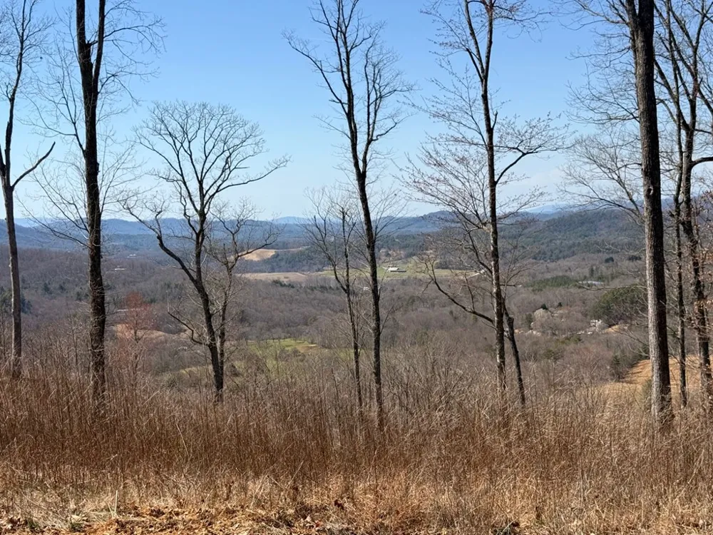 Lot 18 Grand Laurel Brasstown, NC 28902