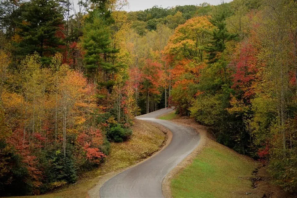 Lot 18 Grand Laurel Brasstown, NC 28902