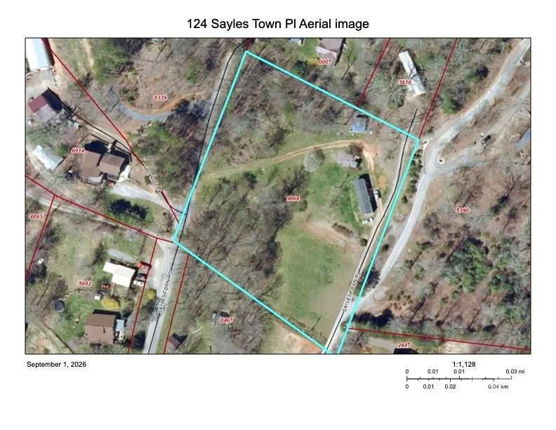 124 Sayles Town Place Fairview, NC 28730