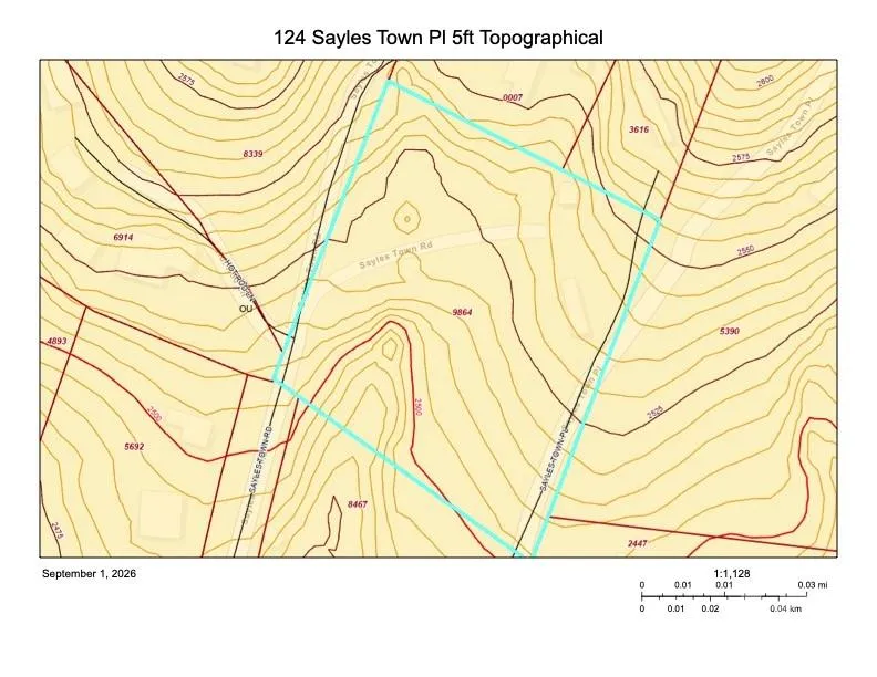 124 Sayles Town Place Fairview, NC 28730