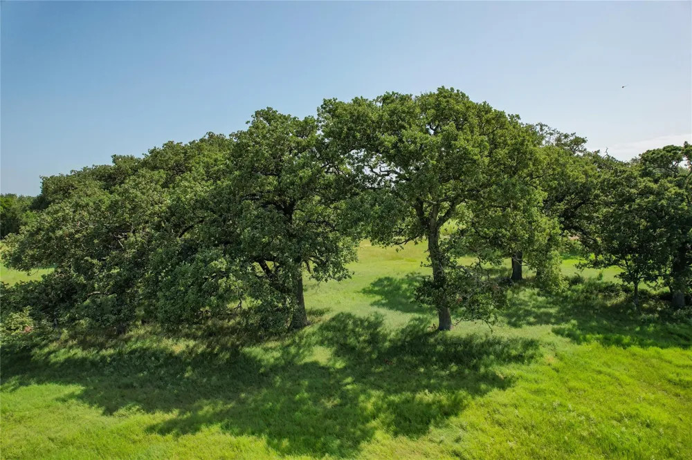 1 Cr 419 Bremond, TX 76629