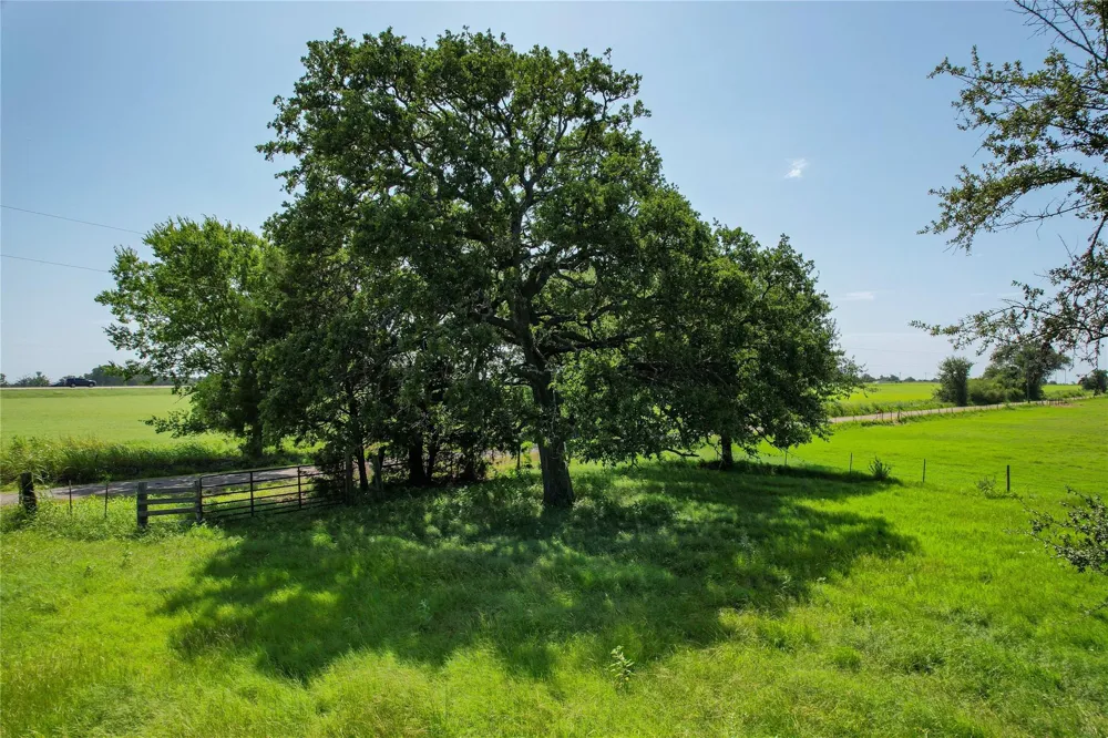 1 Cr 419 Bremond, TX 76629
