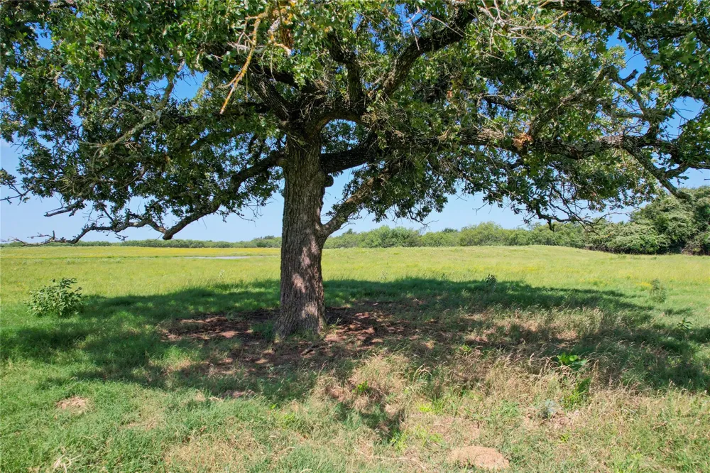 1 Cr 419 Bremond, TX 76629