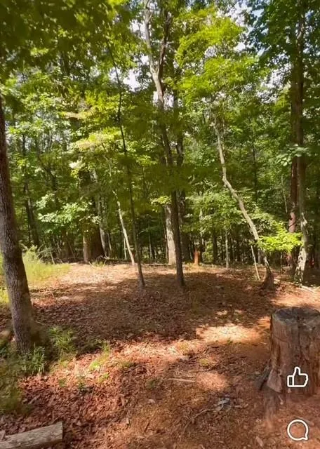 0 Rusty G Place Dawsonville, GA 30534