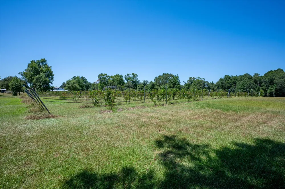 20545 Farm To Market 92 S Fred, TX 77616