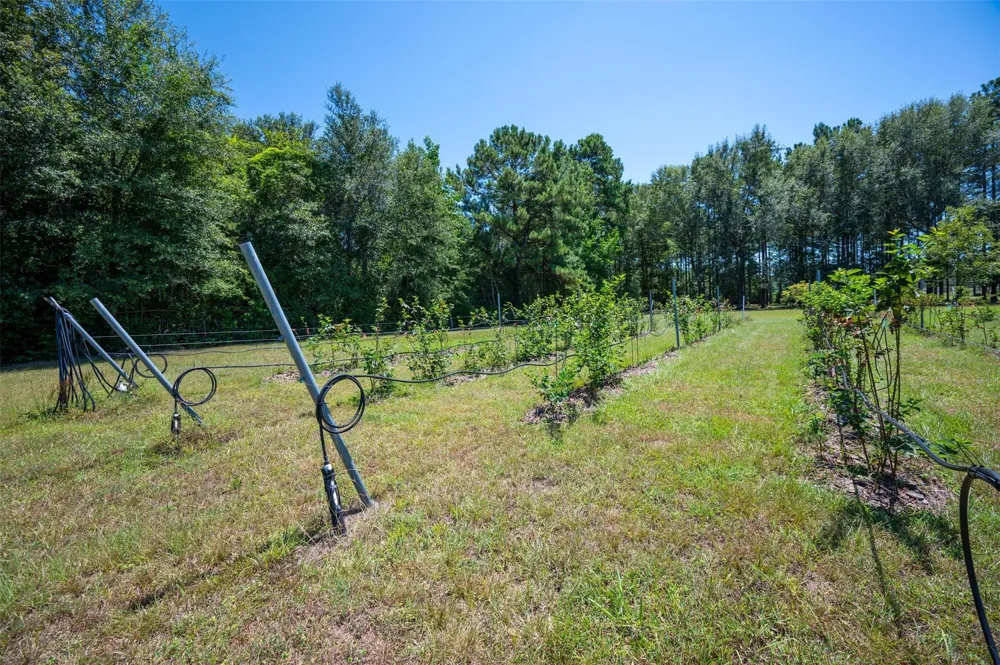 20545 Farm To Market 92 S Fred, TX 77616