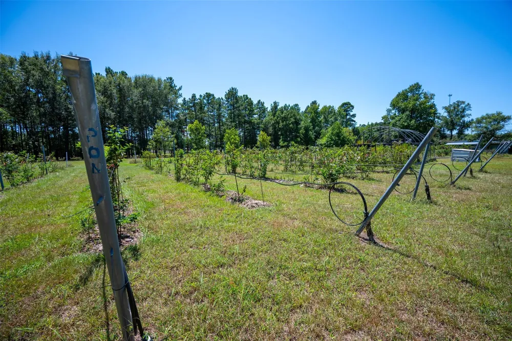 20545 Farm To Market 92 S Fred, TX 77616