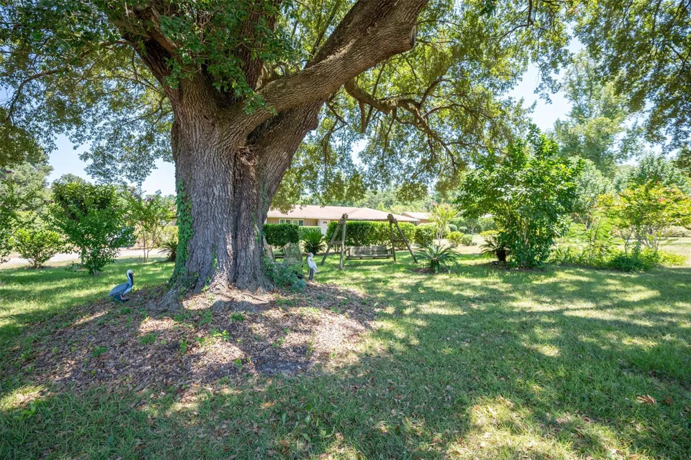 20545 Farm To Market 92 S Fred, TX 77616