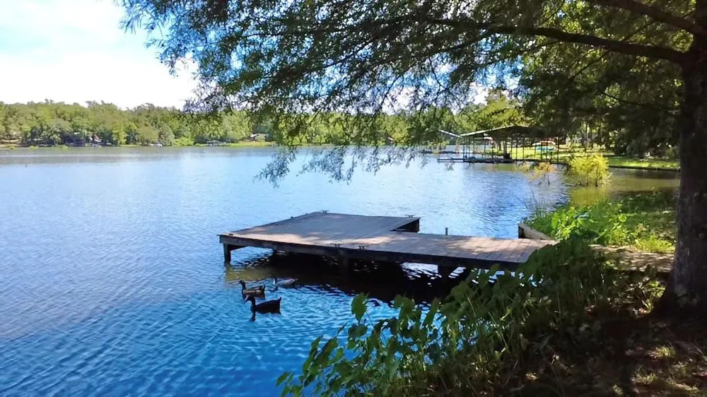 745 County Road 3170 Colmesneil, TX 75938