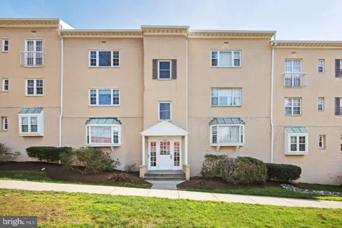 6243 WILSON BOULEVARD #301