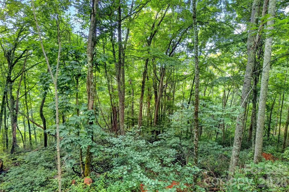 none N 226 Highway ##26/27 Bakersville, NC 28705
