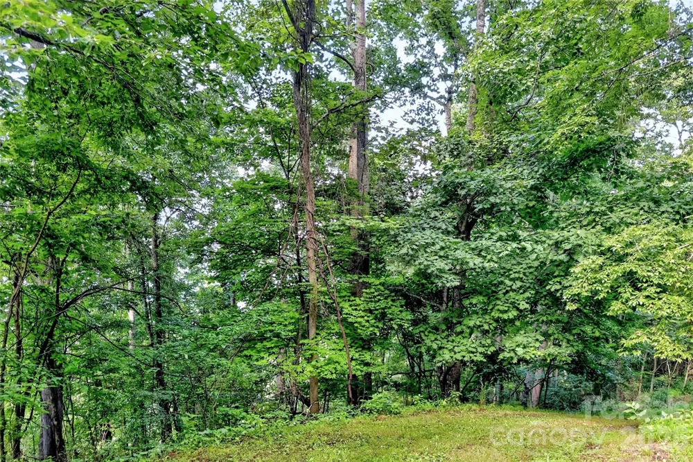 none N 226 Highway ##26/27 Bakersville, NC 28705