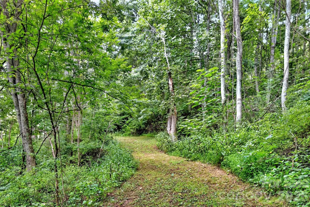 none N 226 Highway ##26/27 Bakersville, NC 28705