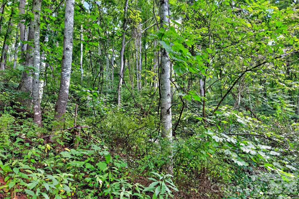 none N 226 Highway ##26/27 Bakersville, NC 28705