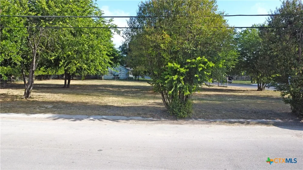 962 S Castell Avenue New Braunfels, TX 78130