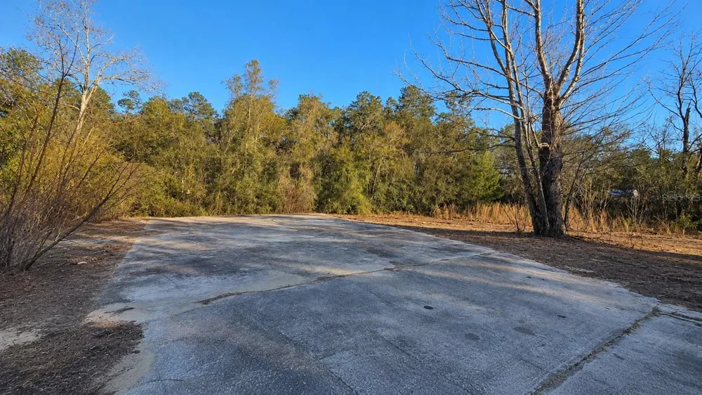 14175 SE 209TH TERRACE Umatilla, FL 32784