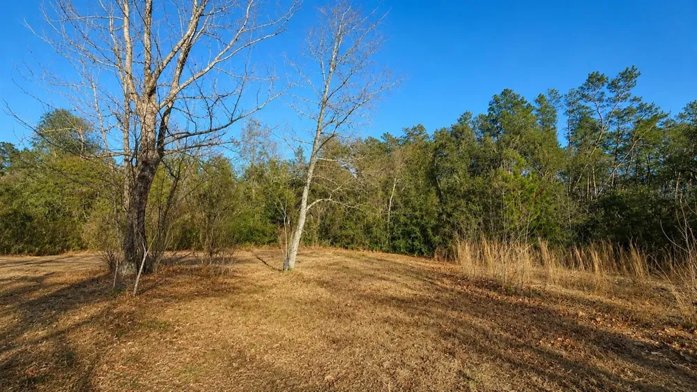 14175 SE 209TH TERRACE Umatilla, FL 32784