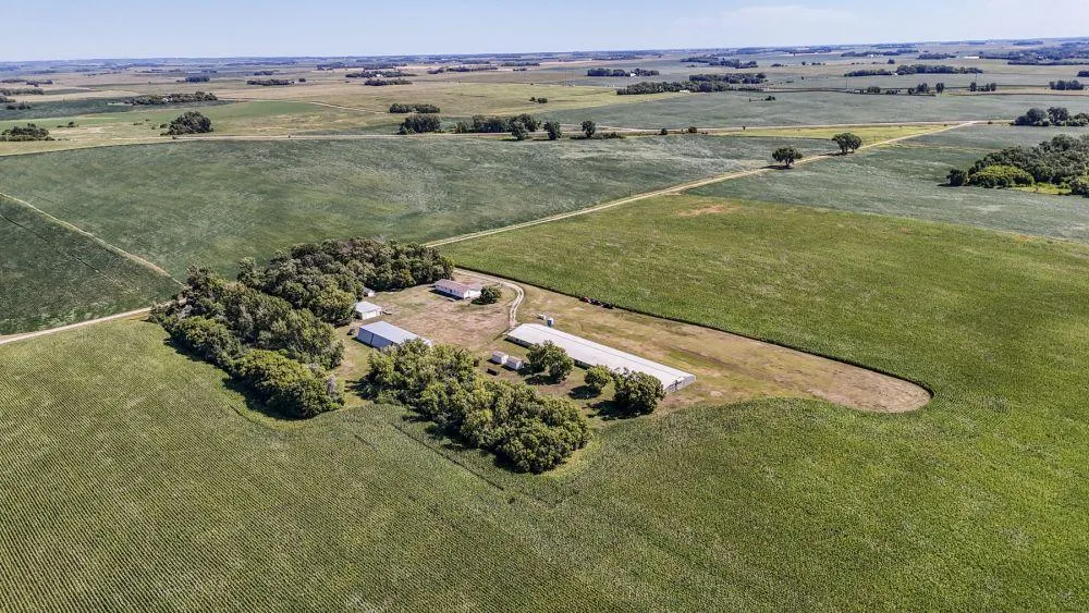 3251 200th Street Rothsay, MN 56579