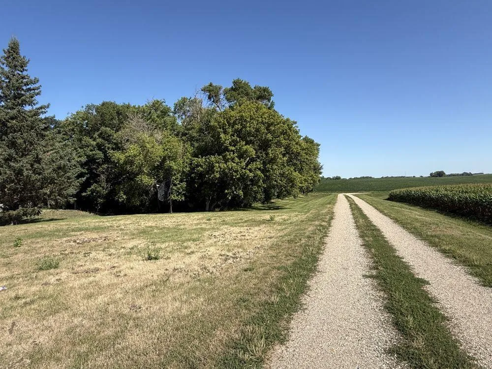3251 200th Street Rothsay, MN 56579