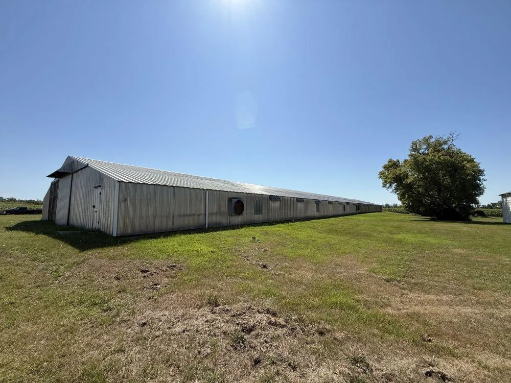 3251 200th Street Rothsay, MN 56579
