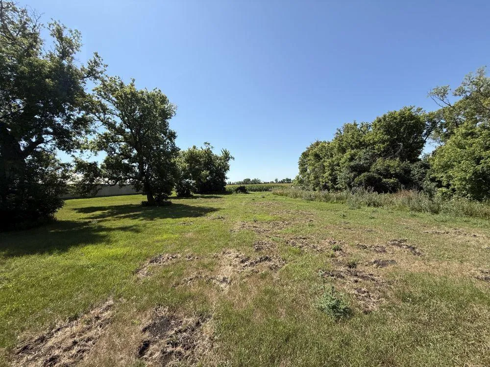 3251 200th Street Rothsay, MN 56579