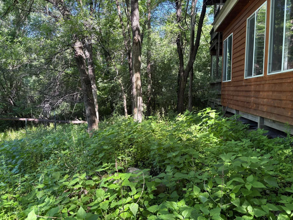 78919 145th Street Sacred Heart, MN 56285