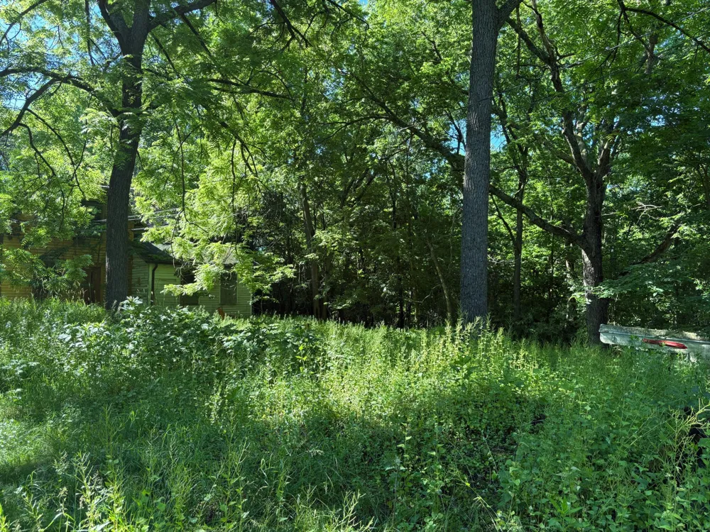 78919 145th Street Sacred Heart, MN 56285