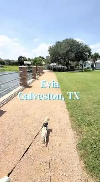 22 Island Passage Galveston, TX 77554