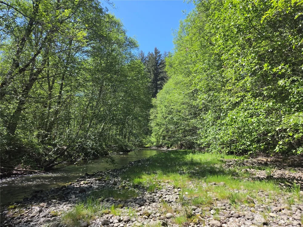 123 Campfire Lane Packwood, WA 98361