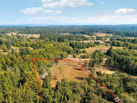 437 Black Bear Trail