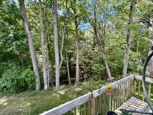 1231 S Timberview Drive #15 Whitehall, MI 49461
