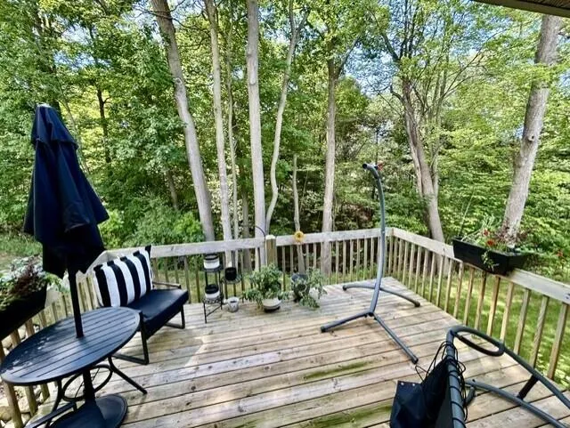 1231 S Timberview Drive #15 Whitehall, MI 49461