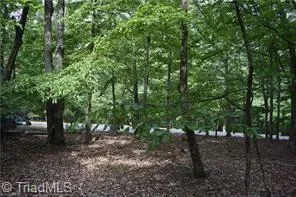 71 Grandview Drive Traphill, NC 28685