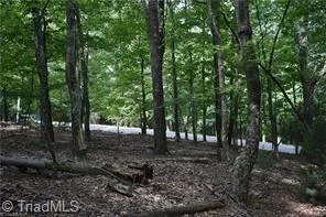 71 Grandview Drive Traphill, NC 28685