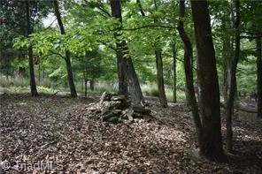 71 Grandview Drive Traphill, NC 28685