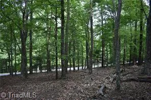 71 Grandview Drive Traphill, NC 28685