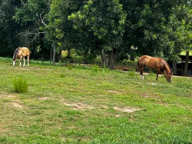 7643 Highway 145 Carnesville, GA 30521