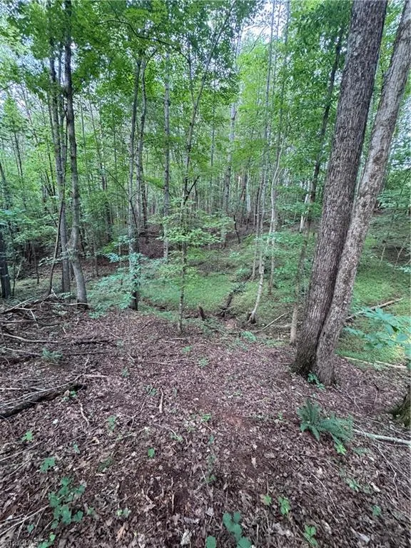 0 Johnson Road King, NC 27021