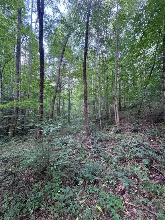0 Johnson Road King, NC 27021