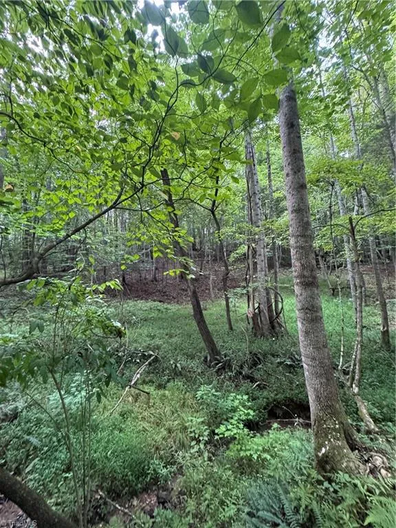 0 Johnson Road King, NC 27021