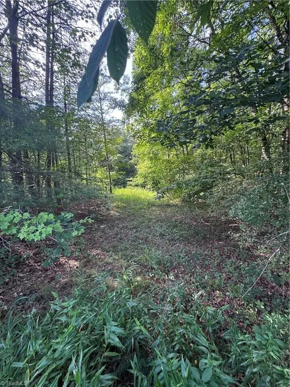 0 Johnson Road King, NC 27021